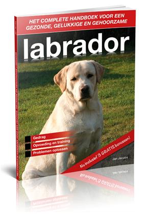 Labrador boek training
